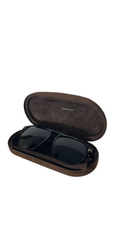 Tom Ford Jasper Sunglasses